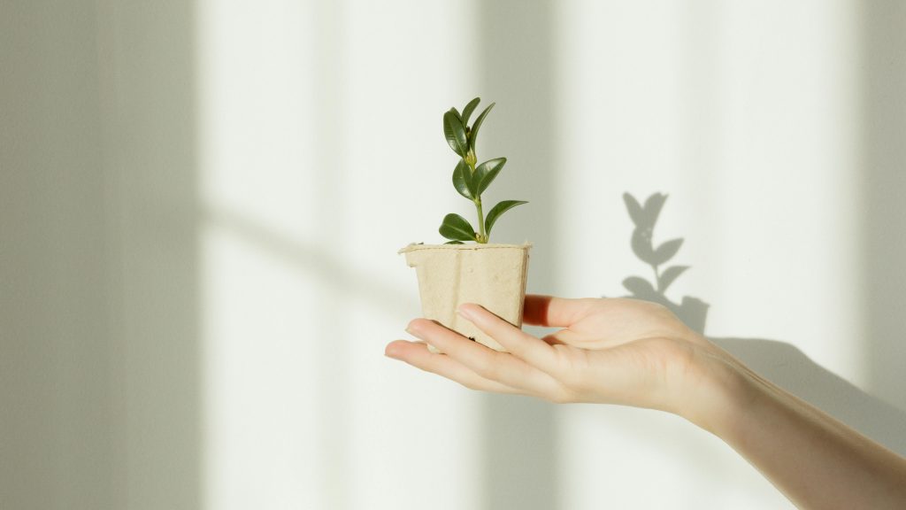 Personal growth using economics and statistics