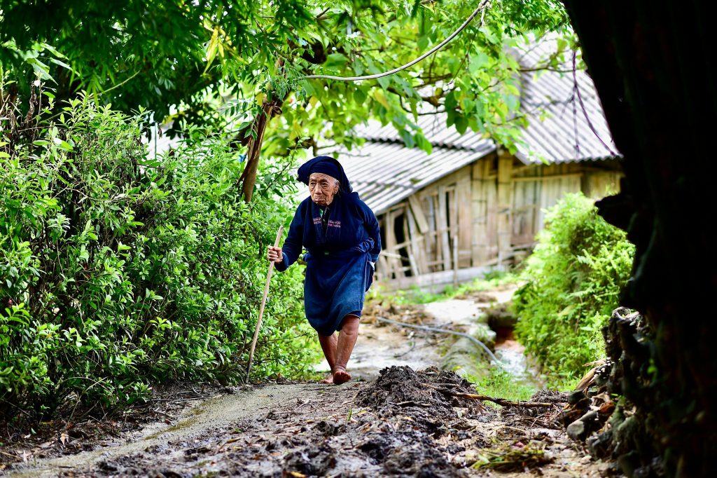 An elderly woman walking with a stick on a leafy path during a peaceful morning stroll.